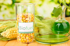 Hollybushes biofuel availability
