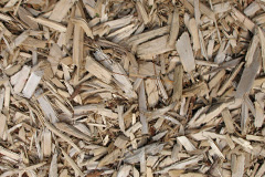 biomass boilers Hollybushes